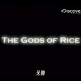 Discovery 米神 Discovery 米神