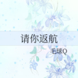 請你返航 請你返航