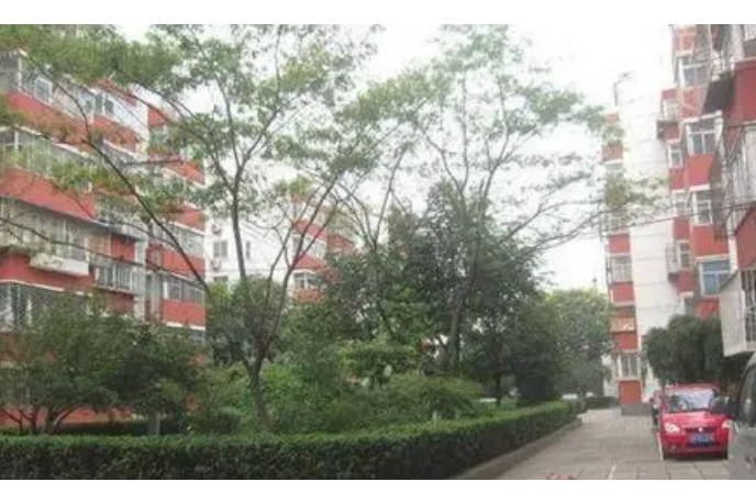 炮局四條 炮局四條
