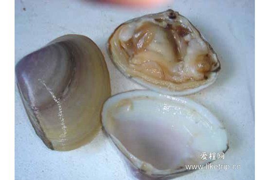 海蛤粉 海蛤粉