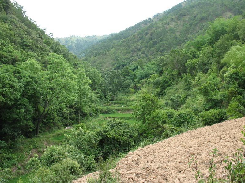 蘿蔔沖村(雲南省紅河州石屏縣異龍鎮的村莊) 蘿蔔沖村(雲南省紅河州石屏縣異龍鎮的村莊)