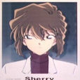 Sherry(灰原哀) Sherry(灰原哀)