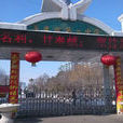 阜康市二中 阜康市二中