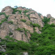 白龍山(山西呂梁市嵐縣白龍山) 白龍山(山西呂梁市嵐縣白龍山)