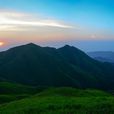 高山草甸 高山草甸
