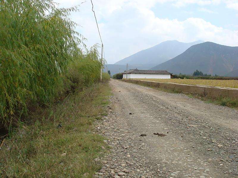 泥鰍溝村 泥鰍溝村
