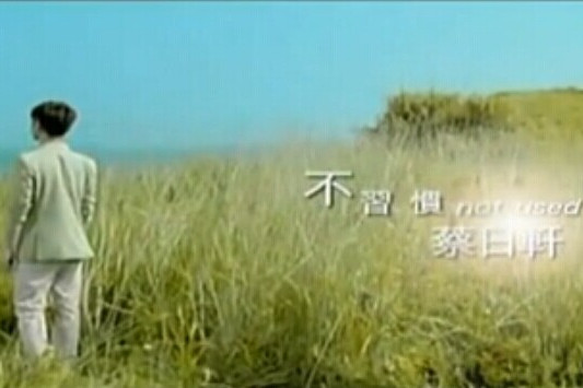 不習慣 不習慣