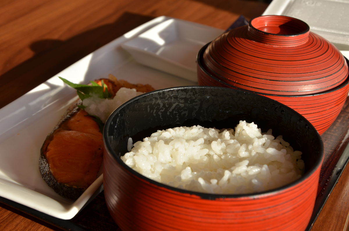 白米飯三文魚