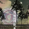 消逝DE流年 消逝DE流年