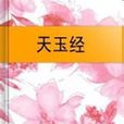 天玉經