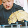 漢陽人 漢陽人