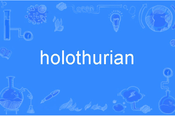 holothurian holothurian
