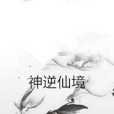 神逆仙境 神逆仙境