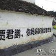 賈爸爸 賈爸爸