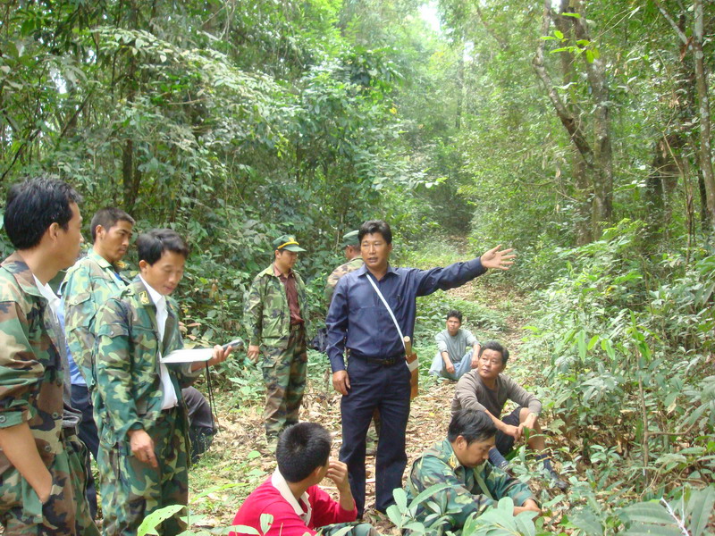 林權改革