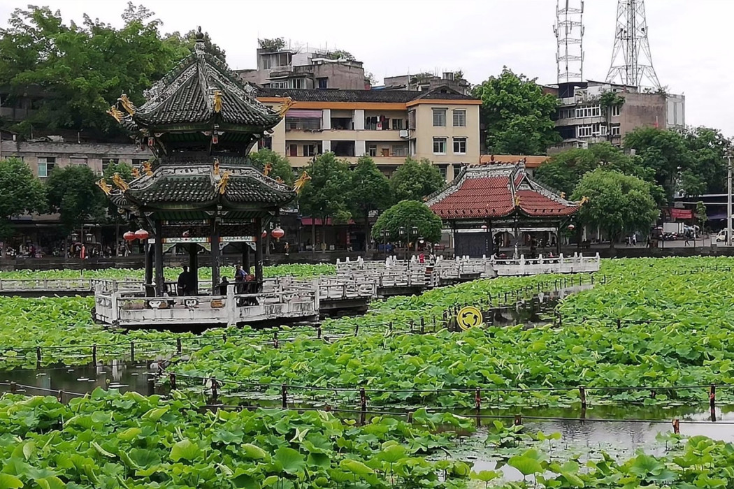 九曲橋(富順縣富順西湖景區內的一處景點) 九曲橋(富順縣富順西湖景區內的一處景點)
