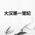 大漢第一寵妃 大漢第一寵妃
