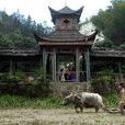 秦人村景區 秦人村景區