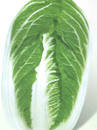 濰白4號 濰白4號