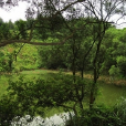 群光村(廣東河源市龍川縣回龍鎮下轄村) 群光村(廣東河源市龍川縣回龍鎮下轄村)