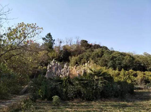 青龍山(河南省鄭州市管城區青龍山) 青龍山(河南省鄭州市管城區青龍山)
