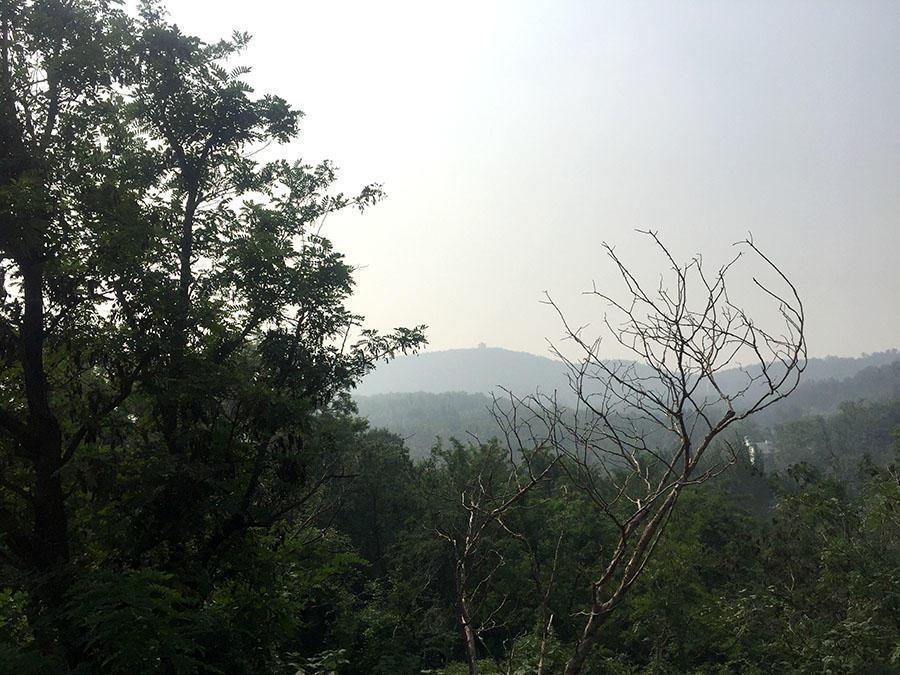 梓童山 梓童山