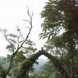 礁溪公園 礁溪公園