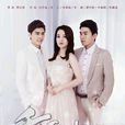 千金歸來(2013年趙文瑄主演電視劇) 千金歸來(2013年趙文瑄主演電視劇)