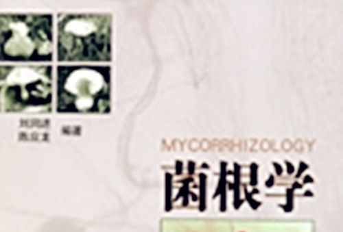 菌根學 菌根學