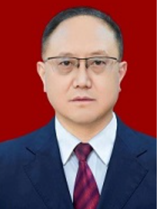 王文輝(甘肅省隴南市康縣司法局黨組書記、局長) 王文輝(甘肅省隴南市康縣司法局黨組書記、局長)