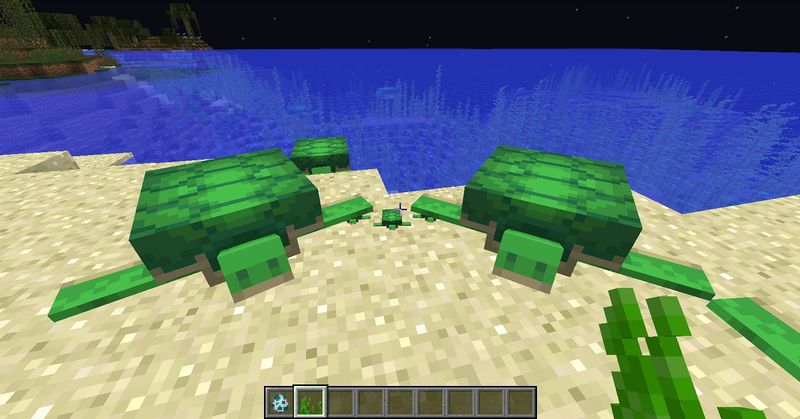 一個玩家正在用海草吸引一群海龜。