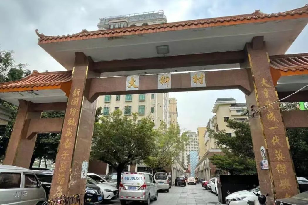 大新村(廣東省深圳市南山區下轄村) 大新村(廣東省深圳市南山區下轄村)