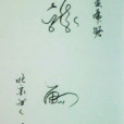 中國首創特型書法 中國首創特型書法