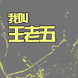 我叫王老五 我叫王老五