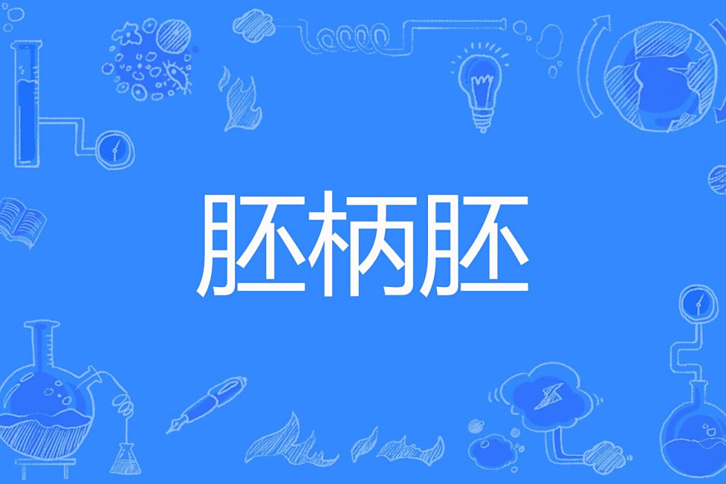 胚柄胚 胚柄胚