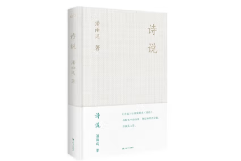 詩說(2023年上海文藝出版社出版的圖書) 詩說(2023年上海文藝出版社出版的圖書)