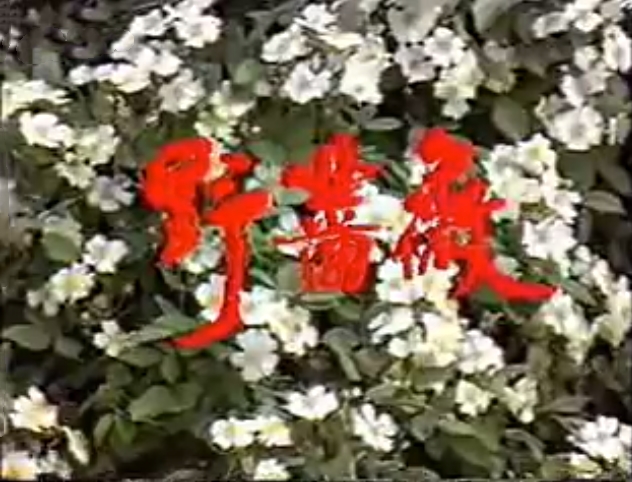 野薔薇(1991年任育林、羅桂興執導的電視劇)