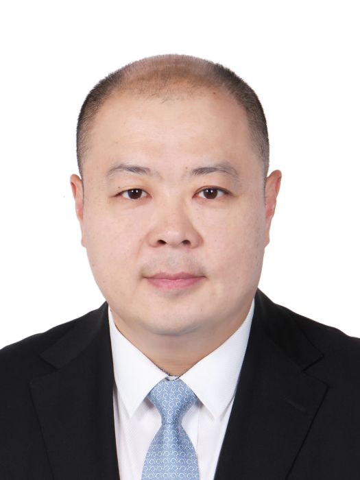 劉鵬(中國動漫集團黨委副書記、總經理)