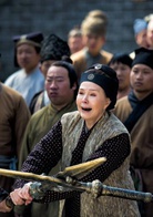 劉海戲金蟾(2013年穆婷婷主演電視劇)