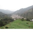 洽河村 洽河村