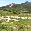 壽山村(福建省寧德市屏南縣下轄村) 壽山村(福建省寧德市屏南縣下轄村)