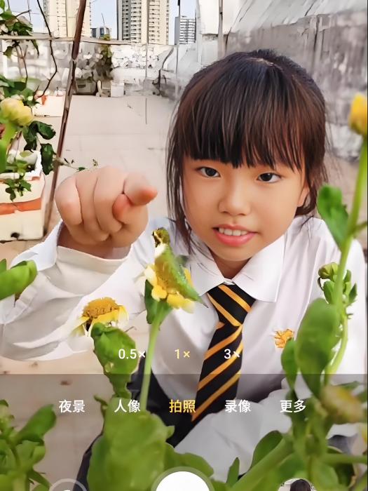 大蛇AI特效