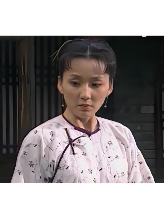 冬梅(古裝劇《漕運碼頭》中的鐵府丫環,由章艷敏飾演。) 冬梅(古裝劇《漕運碼頭》中的鐵府丫環,由章艷敏飾演。)