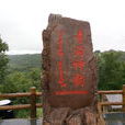 大青溝