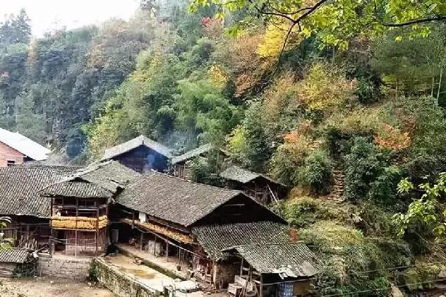 轉龍寨村 轉龍寨村