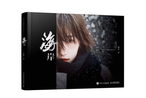 海岸(2023年人民郵電出版社出版的圖書)