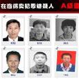 通緝令(公安機關對在逃嫌犯製作的法律文書) 通緝令(公安機關對在逃嫌犯製作的法律文書)