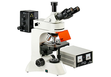 螢光顯微鏡MF30