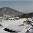 雪鄉(中國黑龍江省牡丹江雪鄉景區) 雪鄉(中國黑龍江省牡丹江雪鄉景區)