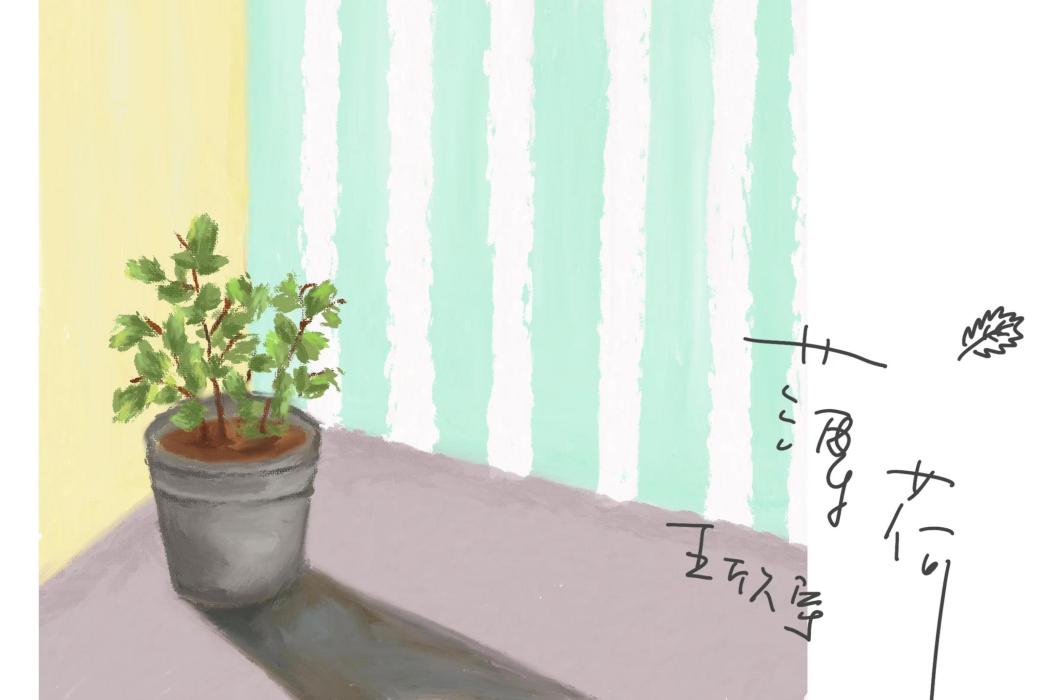 薄荷(Mint) 薄荷(Mint)